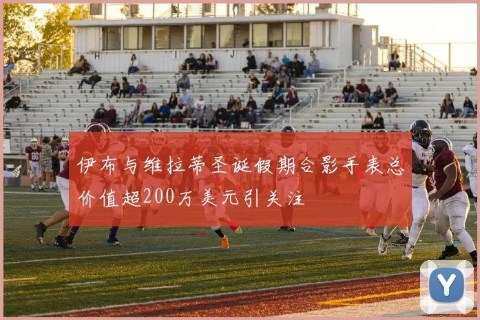 伊布与维拉蒂圣诞假期合影手表总价值超200万美元引关注