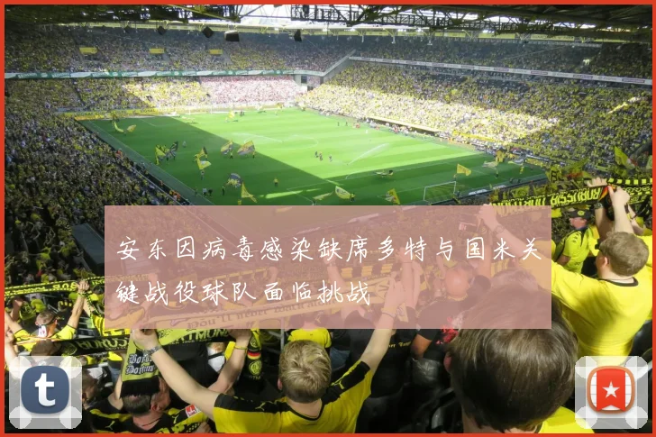 安东因病毒感染缺席多特与国米关键战役球队面临挑战