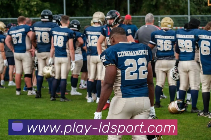 App Interface Preview