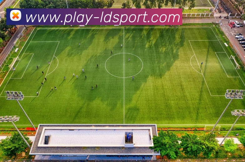 乐动体育APP 封面图